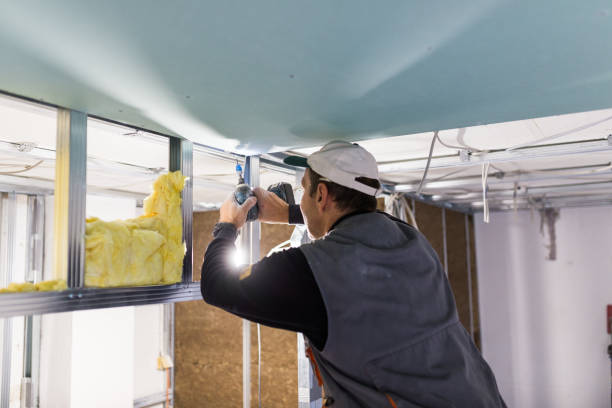 Best Insulation Contractor Near Me  in Anza, CA