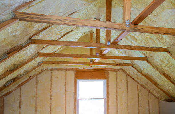 Best Insulation Removal  in Anza, CA