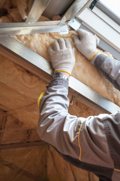 Insulation Repair Services in Anza, CA