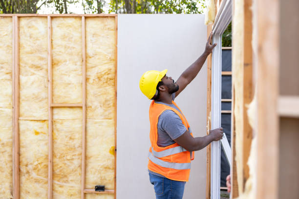 Best Attic Insulation Installation  in Anza, CA